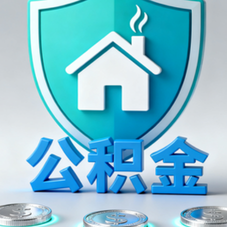 龙岩公积金代办行业观察：谁在提供专业服务？